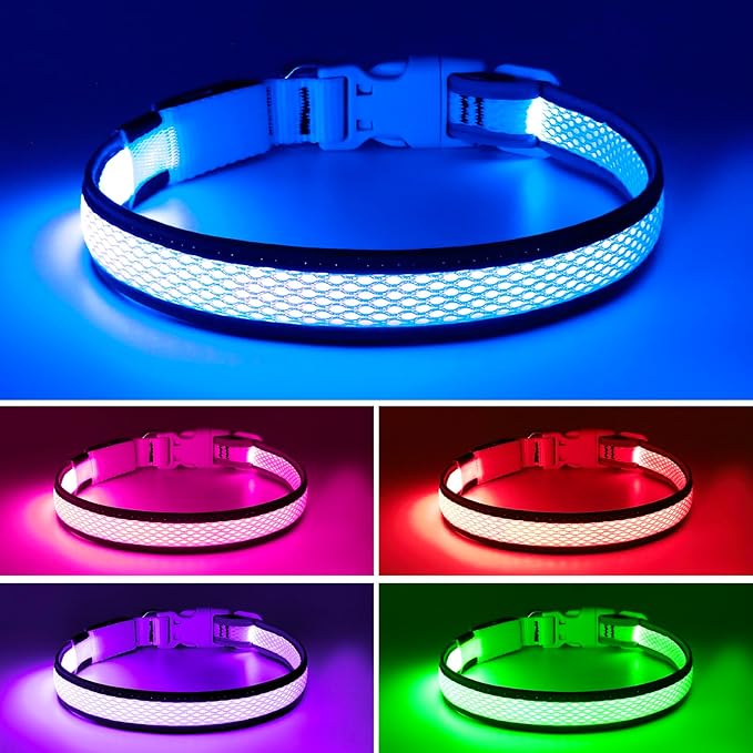 Flashseen LED Dog Collar, Light Up Dog Collar USB Rechargeable, Brightest Dog Lights for Night Walking, Adjustable Dog Collar Light for Dog Safety (Large, Royal Blue)-PawvioPets