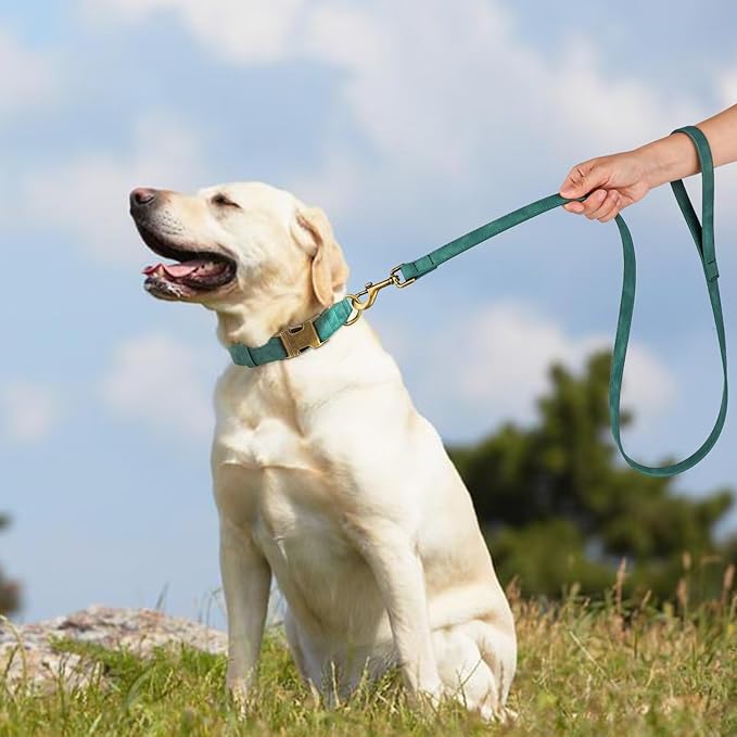 Didog Soft PU Leather Dog Collar, Stylish Quick Released Dog Collars for Large Dogs, Easy Clean Adjustable Pet Collar for Daily Walking, Green, XL Fit 17-27" Neck-PawvioPets