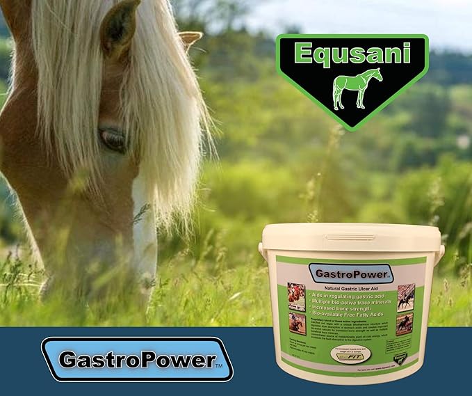 GastroPower Digestible Free Fatty Acid Feed Concentrate for Horses-PawvioPets