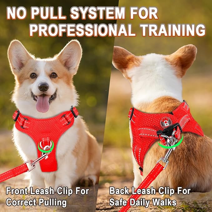 Dog Harness Step in Dog Vest Harness, Reflective Adjustable Puppy No Pull Harness Breathable Soft for Small and Medium Dogs Cats, Red, XS-PawvioPets