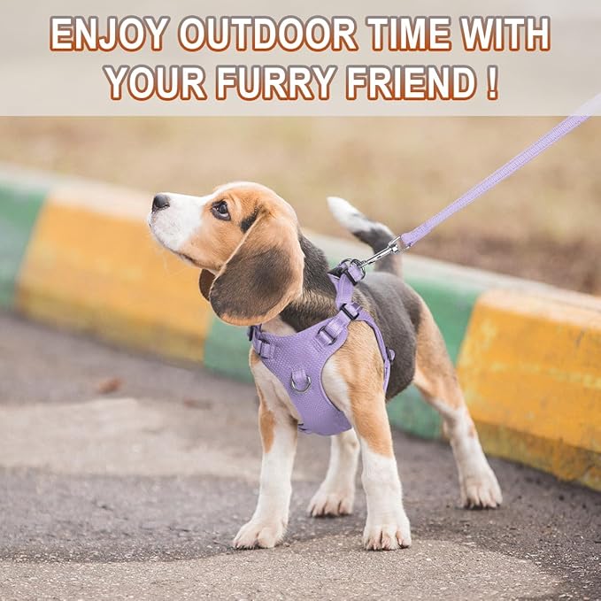 BARKBAY Dog Harness, Reflective Adjustable Puppy No Pull Harness, Breathable Soft for Small and Medium Dogs, Violet Purple, XXS-PawvioPets