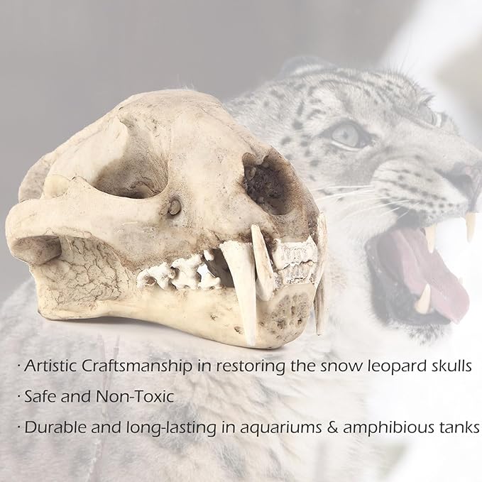 Aquarium Décor Cave Decorations Fish Hideout Betta Tarantula Reptile Snake for Terrarium Ornament Dinosaur Animal Skull Large Bones Halloween-PawvioPets