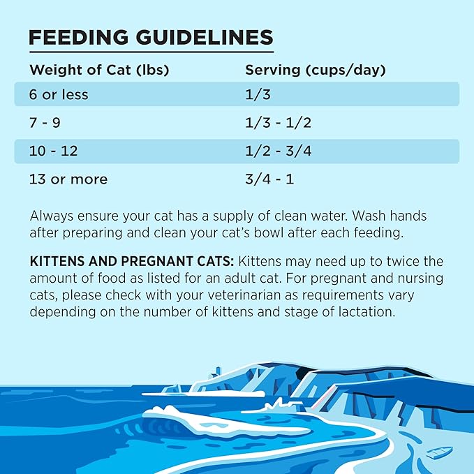 BIXBI Liberty Dry Food Salmon Recipe for Cats, 3lb-PawvioPets