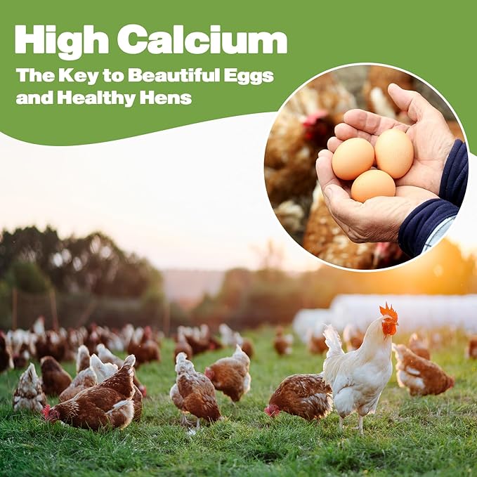 22LB Dried Black Soldier Fly Larvae, 2 Pack of 11 LBS, 86X Calcium Than Dried Mealworms, High Protein Non-GMO Organic Chicken Feed-PawvioPets