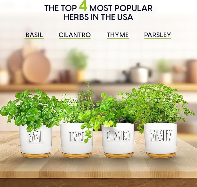 Deluxe Ceramic Indoor Herb Kit 4 Set. Variety Herbs for Indoor & Outdoor – Get Growing with Pots, Potting Soil for Window Herb Garden. (Ceramic Edition)-PawvioPets