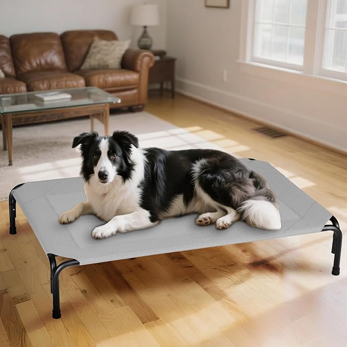 Elevated Dog Bed for Outdoor, XL Raised Dog Cot with Washable Mesh, Cooling Pet Cot Chew Proof for Outside Camping, 47 inch Grey-PawvioPets