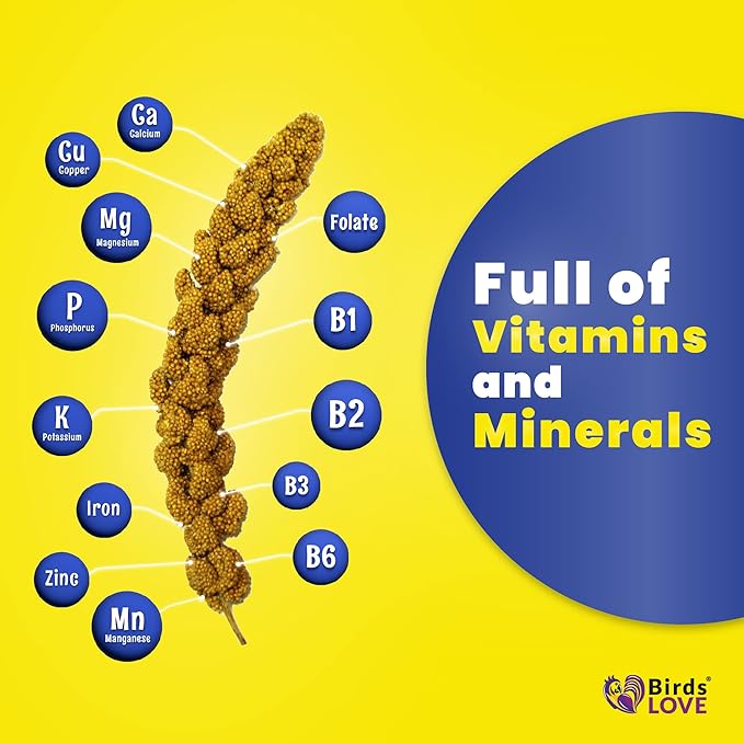 Birds LOVE Economy & Thin Special Spray Millet – 5 lb GMO-Free, No Stems (Only Edible Tops) – Healthy Treat for Cockatiels, Lovebirds, Parakeets, Finches & Canaries-PawvioPets