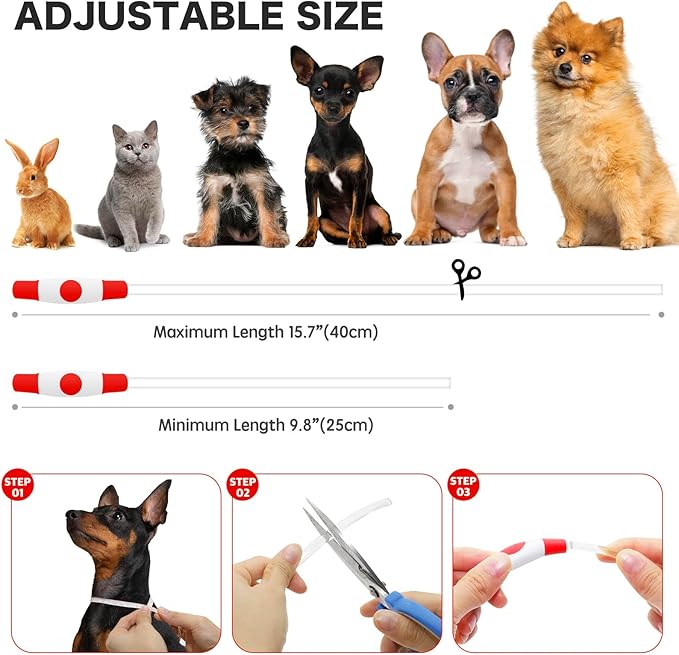 BSEEN Light Up Dog Collar - Rainproof LED Dog Collar Rechargeable - TPU Cuttable Glowing Puppy Collar for Small Dogs& Cats, High Visibility Safety Dog Lights for Night Walking (XS-Red 40cm)-PawvioPets