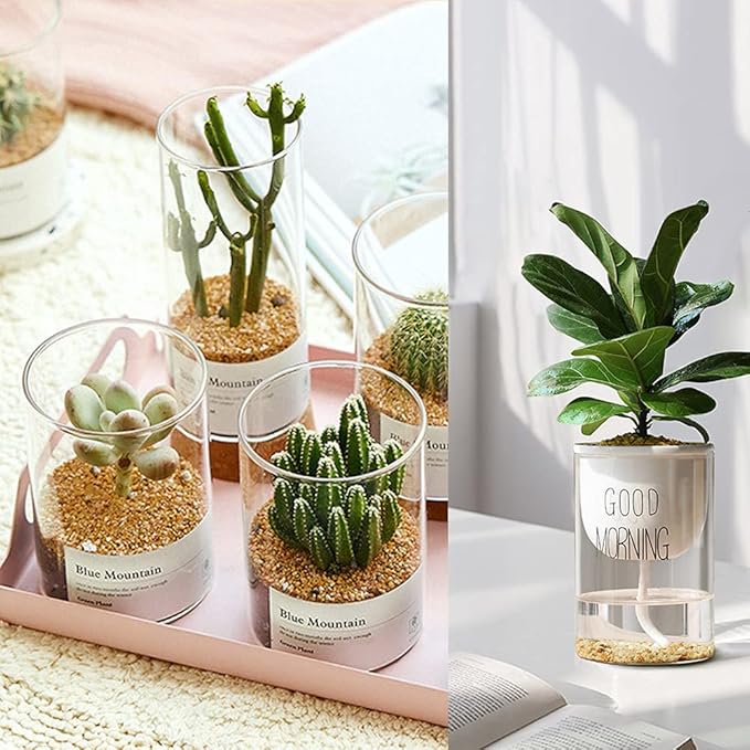 7lb Cactus Pea Gravel Rocks,1/5 Inch Pebbles for Indoor Plants, Natural Succulent Rock and River Rocks Decorative for Aquariums, Vases, Terrarium, Outdoor Gardening, Top Dressing for Potted Plants-PawvioPets