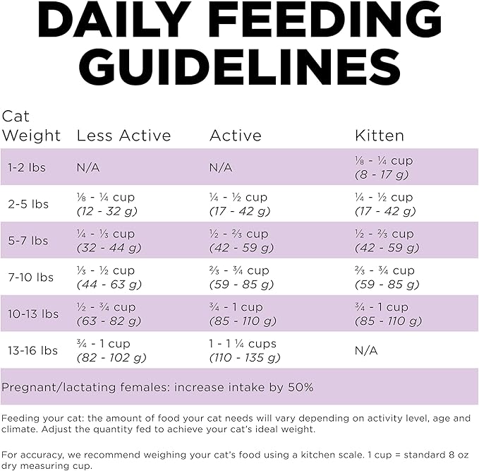 Go! Solutions Carnivore, Grain-Free, Protein Rich Dry Cat Food, Chicken, Turkey and Duck Recipe, 3 lb Bag-PawvioPets