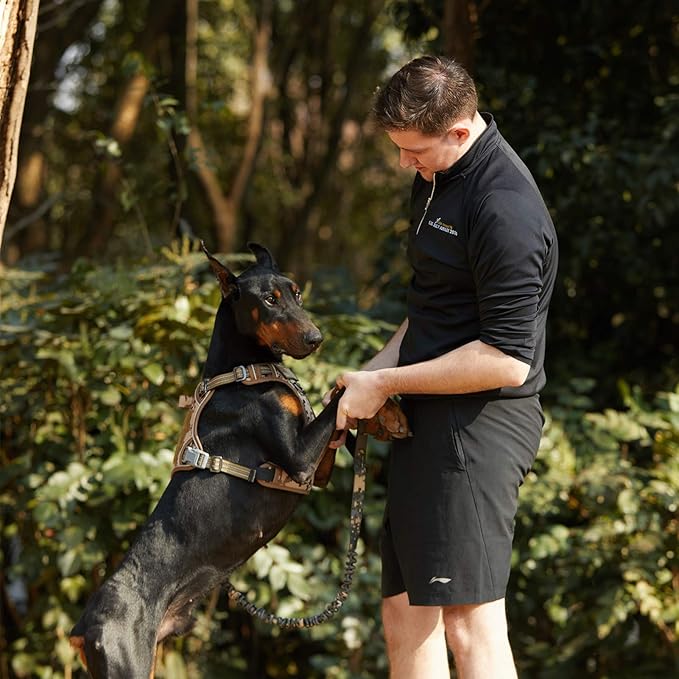 BUMBIN Tactical Dog Harness for Large Dogs No Pull, Famous TIK Tok No Pull Dog Harness, Fit Smart Reflective Pet Walking Harness for Training, Adjustable Dog Vest Harness with Handle Desert Camo L-PawvioPets