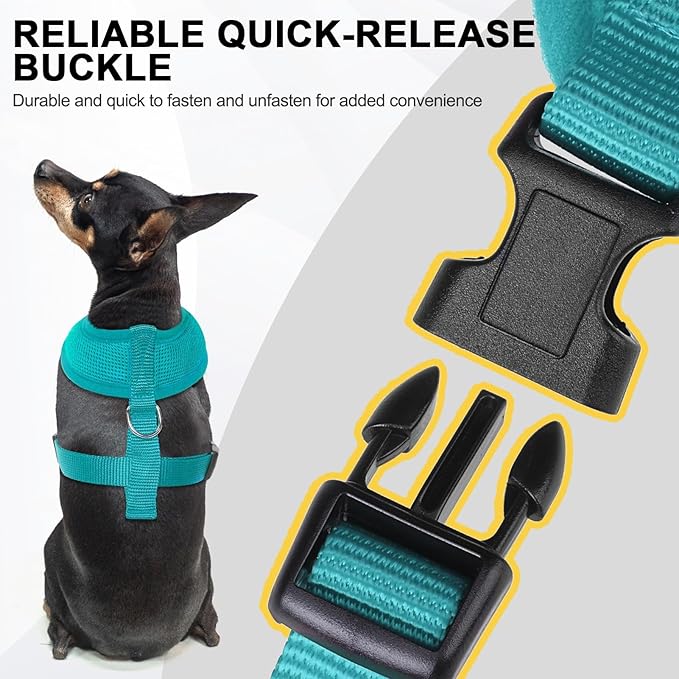 BINGPET No Pull Dog Harness,All Weather Mesh Step-in Vest Harness for Small Dogs,Breathable Mesh Puppy & Cat Harness-PawvioPets