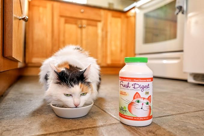 Fresh Digest Daily Digestive Aid and Immune Support Supplement for Cats, Natural Prebiotic and Enzyme Powder for Healthy Stools, Hairball Control, Stop Litterbox Odor, Works Fast 100g/3.5oz-PawvioPets
