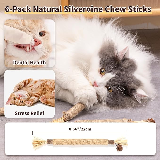 6 Pack Silvervine Cat Chew Toys, Natural Dental Sticks for Indoor Cats, Kittens Teeth Cleaning, Catnip Alternative, Interactive Play, Yellow-PawvioPets