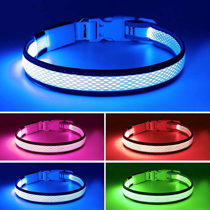 Flashseen LED Dog Collar, Light Up Dog Collar USB Rechargeable, Brightest Dog Lights for Night Walking, Adjustable Dog Collar Light for Dog Safety(Medium, Royal Blue)-PawvioPets