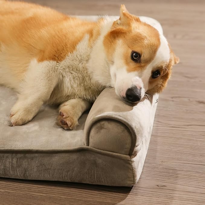 Amazon Basics Dog Bed with Cooling Gel Memory Foam, Pressure-Relief Support for Dogs up to 55lbs, Non-Slip Bottom, Machine Washable Cover, Large Sized (36" x 27"), Brown-PawvioPets