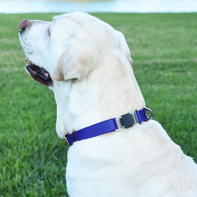 Dogline Biothane Waterproof Dog Collar with Herm Sprenger Stainless Steel Quick Release Buckle – Heavy Duty Tactical Durable Collar for Dogs – Comfortable and Safe Pet Collar W 3/4" L 12-19" Blueberry-PawvioPets
