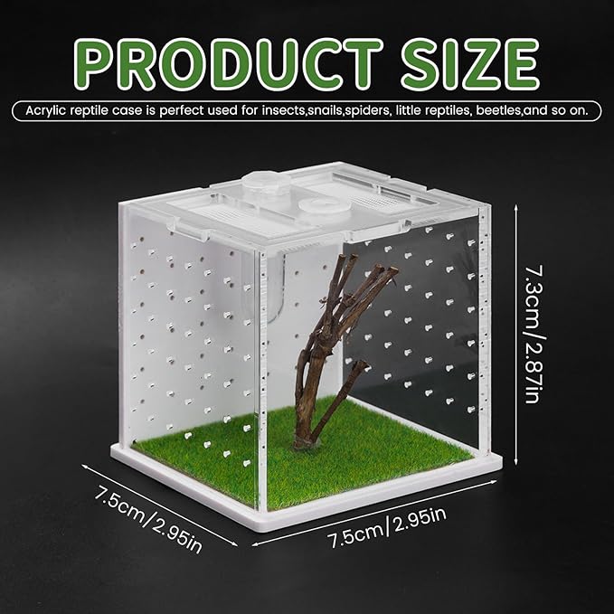 Acrylic Jumping Spider Enclosure, 2.95×2.95×2.87in Transparent Reptile Terrarium, Versatile Tarantula Enclosure for Small Reptiles/Insects, Small Reptile Tank with Dropper, Jumping Spider Accessories-PawvioPets