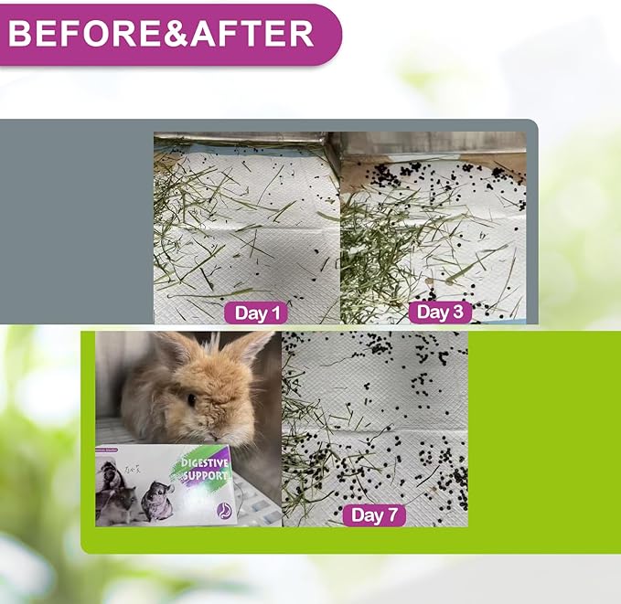 Digestive Support for Rabbits - High Fiber Probiotics, GI Stasis Prevention, Promote Gut Motility, Critical Care Herbivore Supplement, Rabbit & Guinea Pig Treats/Food, 36 Capsules-PawvioPets