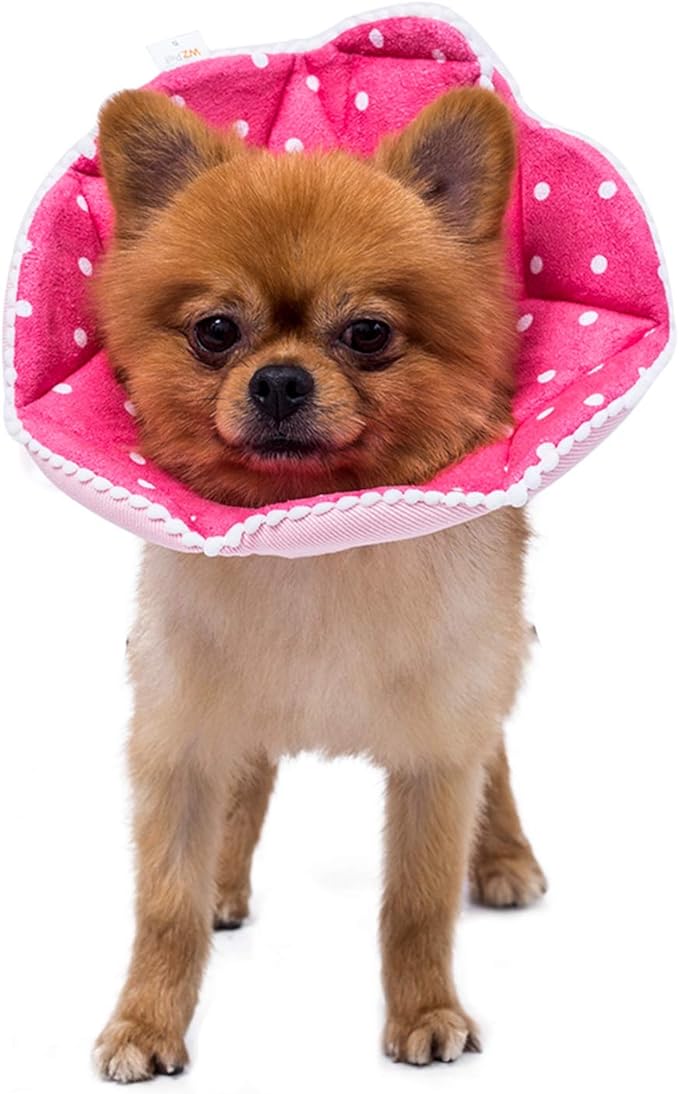 Adjustable Dog Cat Cone,Soft Recovery Cat Cone Collar,Dog Protective Collar for Cats and Puppy Surgery,Pink,Small-PawvioPets