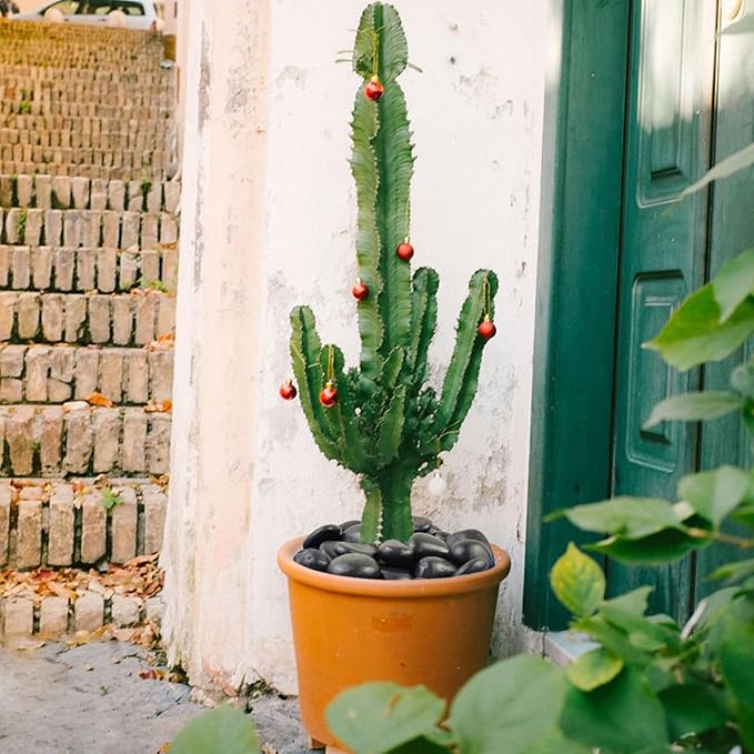 40 lbs Black River Rocks for Landscaping, 2-3 inch Pebbles for Indoor Plants, Large Decorative Stones for Planters Aquarium Fish Tank and Garden Rocks-PawvioPets