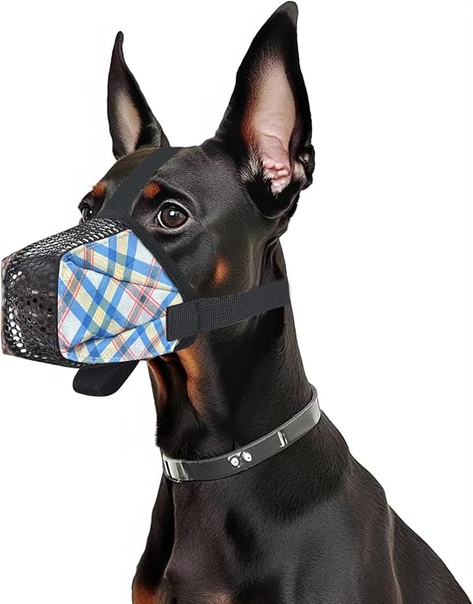 Dog Muzzle for Small Large Dogs - Soft Nylon Basket Muzzle with Adjustable Strap, Breathable Mesh Design Prevents Biting Chewing Licking Eating - Ideal for Training, Grooming & Vet Visits (Blue, M)-PawvioPets