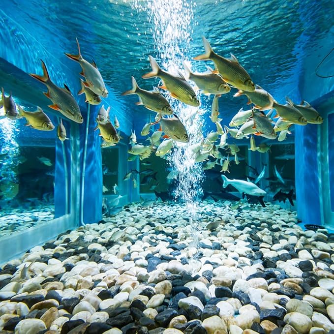 2lbs Natural River Rocks, 1/4" Aquarium Gravel Succulent Cactus Pea Gravel for Plants, Fish Tank, Decorative Pebbles for Gardening, Flower Pots, Vase Fillers, Indoor Water Fountains, Landscaping-PawvioPets