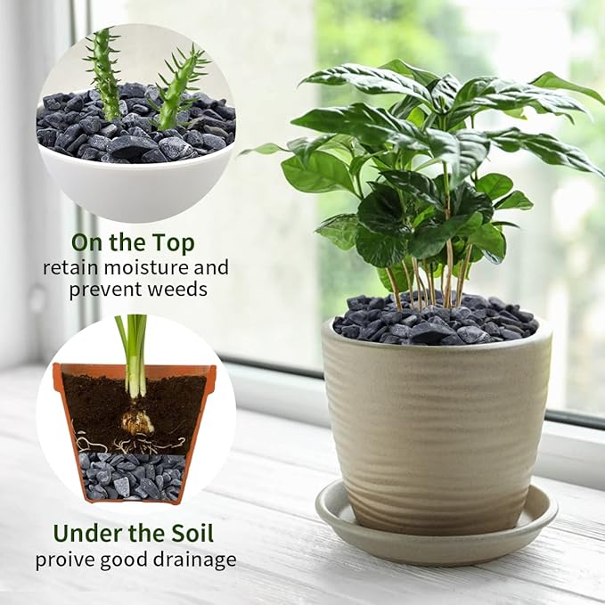 2lbs Black Gravel, 3/8 Inch Black Stones. Decorative Black Rocks for Succulent Plants, Vase, Cactus, Bamboo Plants and Outdoor Garden Landscaping-PawvioPets