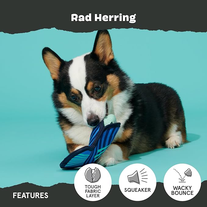 Barkbox Super Chewer Rad Herring Hard Core Toy with Rip Away Plush for Aggressive Chewers, Medium-PawvioPets