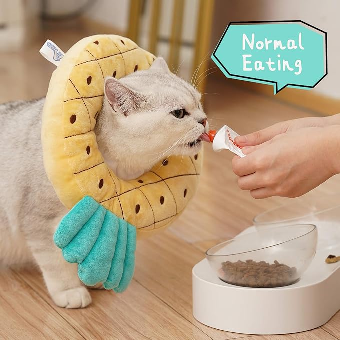 ANWA Adjustable Cat Cone Collar Soft, Cute Cat Donut Collar After Surgery, Kitten Recovery Cones to Stop Licking-PawvioPets