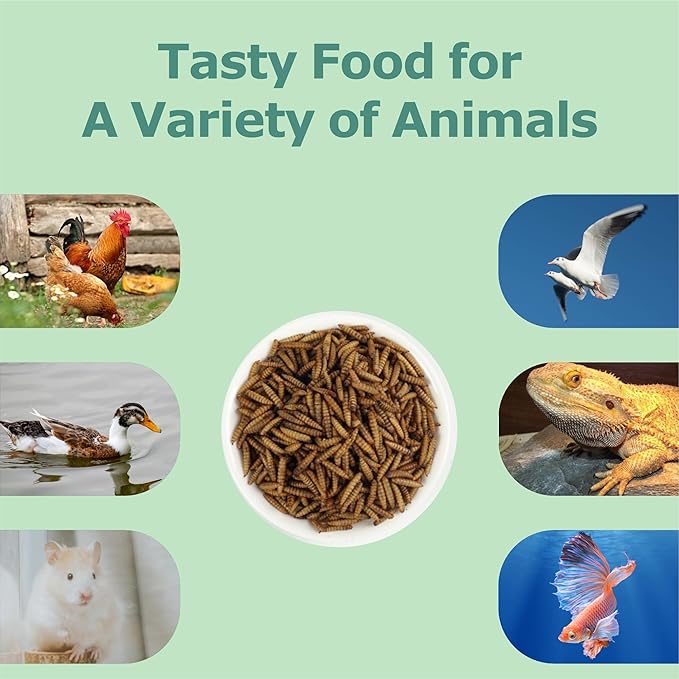 5.5LB Dried Black Soldier Fly Larvae, More Calcium Than Dried Mealworms, High Protein Chicken Feed, Poultry Treat-PawvioPets