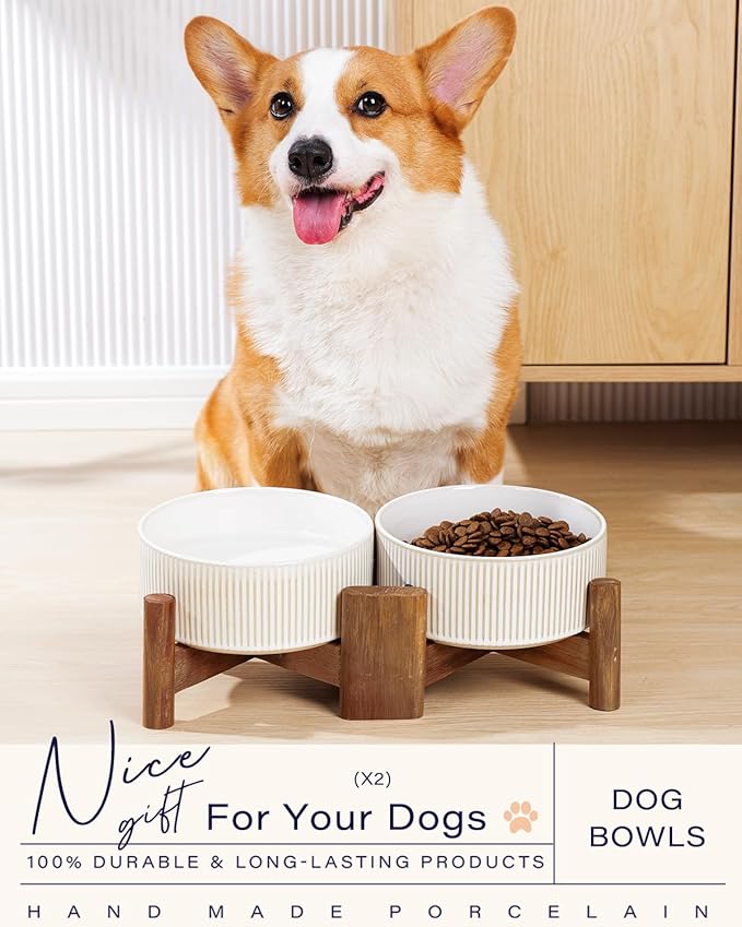 Getstar Ceramic Dog Bowls with Acacia Wood Stand, 30 fl oz, Set of 2, Dog Food Bowl, Cat Bowls (6.5 inches) (Vintage White)-PawvioPets