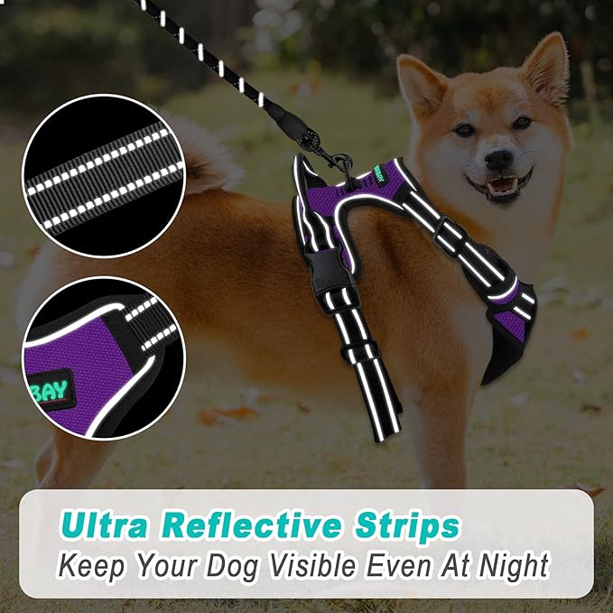 BARKBAY No Pull Dog Harness Large Step in Reflective Dog Harness with Front Clip and Easy Control Handle for Walking Training Running(Purple,S)-PawvioPets