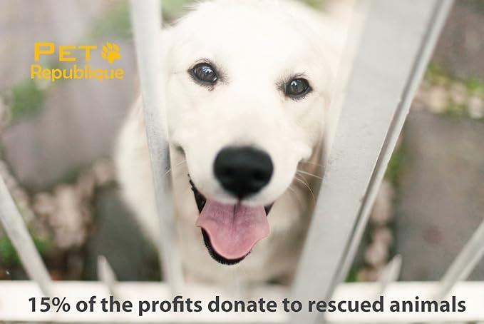 Dog Nail Grinder by Pet Republique - 2 Speed Electric Rechargeable Nail Grinder - Gentle, Quiet, Low, Painless Nail Trimmer - Multi-Setting Grinder for Any Small or Medium Dog, Cat, and Pet Claw-PawvioPets