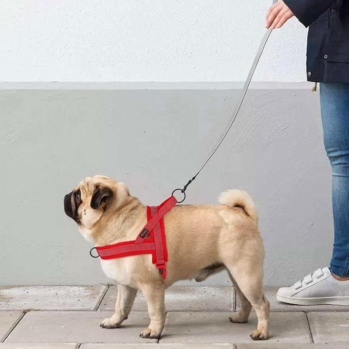 Didog No Pull Dog Harness with Breathable Mesh Padded, Full Reflective & Quick Fit Adjustable Vest Harness, Easy for Training Walking for Small & Medium and Large Dogs (Red, L:Chest 26-32")-PawvioPets