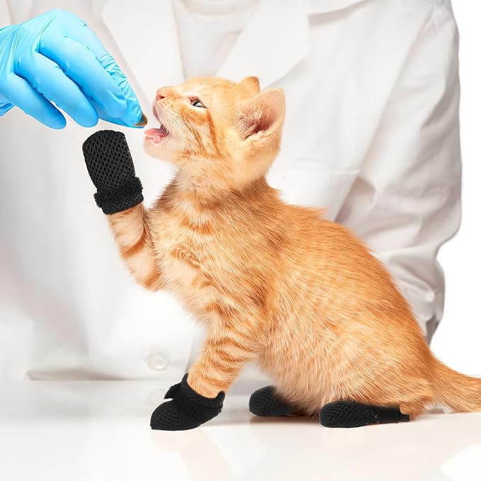 Cat Booties to Prevent Scratching: 4pcs AntiScratch Cat Claw Covers for Feeding Medicine, Pet Grooming, Bathing Shaving Checking, and Nail Trimming, Black Pet Shoes Socks Caps Mittens Paw Protector M-PawvioPets