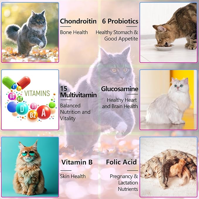 15-in-1 Multivitamin Drops for Cats - Immune Support, Skin & Coat Health, Digestion, Joint Care - with Vitamins A, B, C, D, E - Liquid Supplement for All Life Stages, Easy to Use, 2 fl.oz-PawvioPets