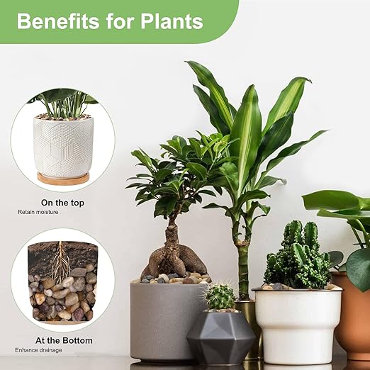 5 lbs Drainage Rocks for Potted Plants, 1/5 Inch Small Pebbles for Indoor Plants, Decorative Gravel for Vases, Bamboo, Succulent, Terrarium, Crafts, Cactus-PawvioPets