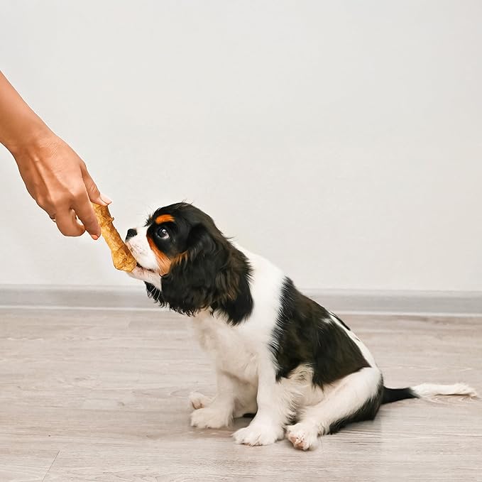 Fieldcrest Farms Nothin' to Hide 3 inch Ultra Knotted Bone Treats - Natural Rawhide Alternative Treats for Dogs, Collagen Based Snack for Heavy Chewers up to 15lbs - Chicken Flavor, 12 Pack-PawvioPets