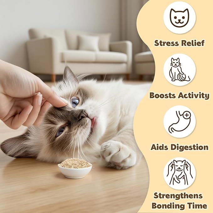 80PCS Catnip - Cat Nip for Cats Natural Dried Catnip Treats Premium Cat Nip Perfect for Toys, Training Rewards, Stress Relief, Freshly Harvested Bag Bulk Pack,2.8OZ-PawvioPets