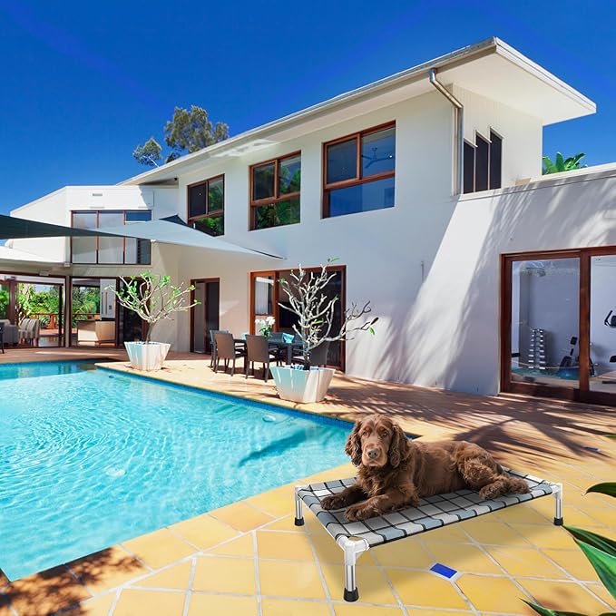 Elevated Outdoor Raised Dog Bed Outdoor Dogs Bed Lifted Pet Bed Dog Cot for Medium Pet Taste Life, Start with A Pet Bed 34'' x 20'' x 6.5''-PawvioPets