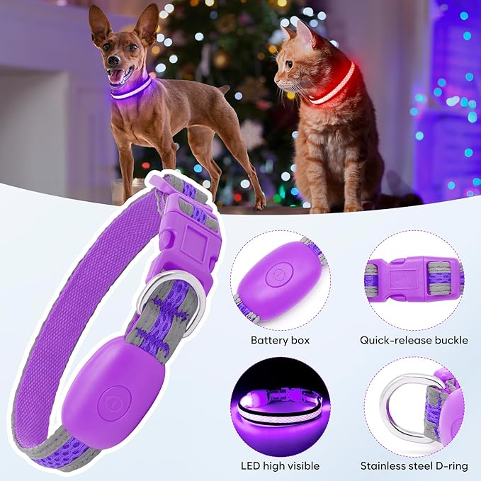 Flashseen LED Cat Collar,Light Up Dog Collar Rechargeable, Dog Lights for Night Walking, Comfortable Soft Mesh Pet Collar Adjustable for Cats Puppy and Small Dogs (Purple, XS)-PawvioPets