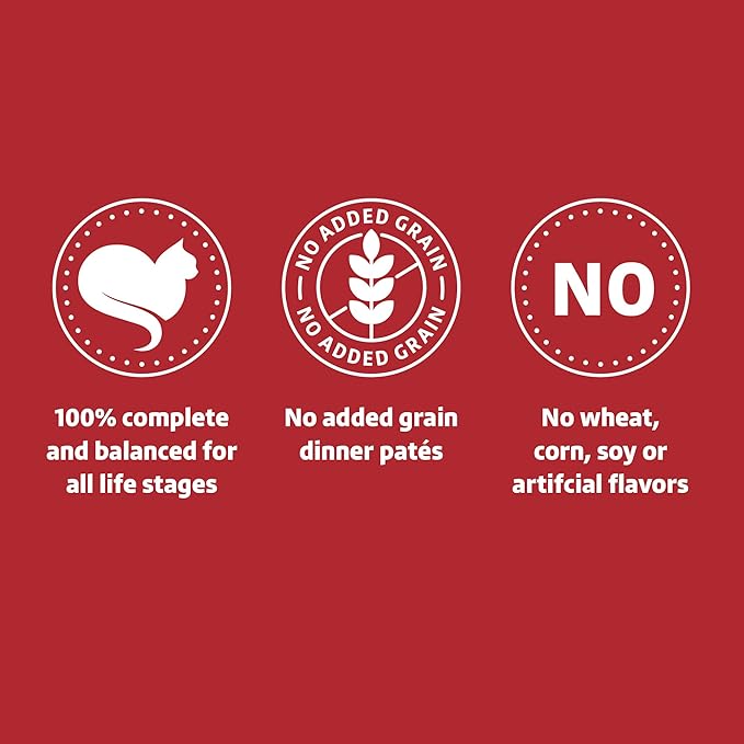 Amazon Brand - Wonder Bound Wet Cat Food, Paté, No Added Grain, 3 oz cans, Pack of 24 (Beef)-PawvioPets