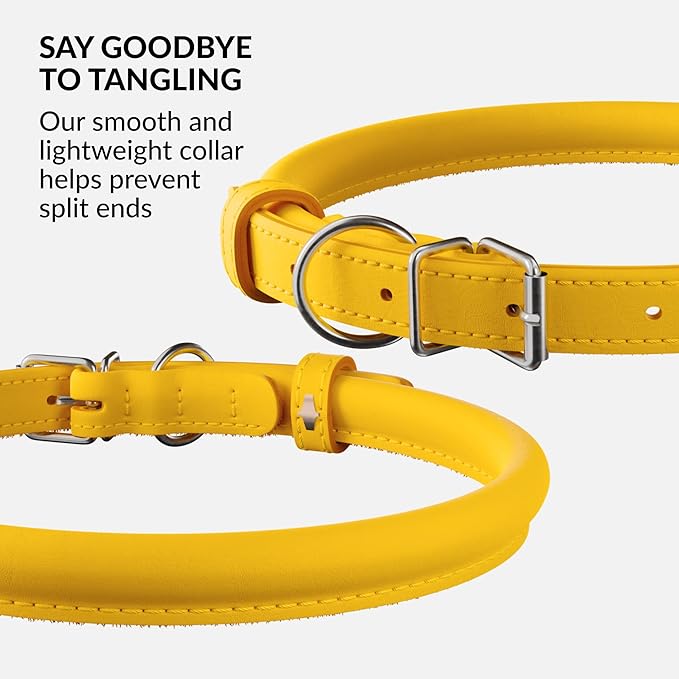 CollarDirect Rolled Leather Dog Collar, Soft Padded Round Puppy Collar, Handmade Genuine Leather Collar Dog Small Large Cat Collars 13 Colors (18-22 Inch, Yellow Smooth)-PawvioPets