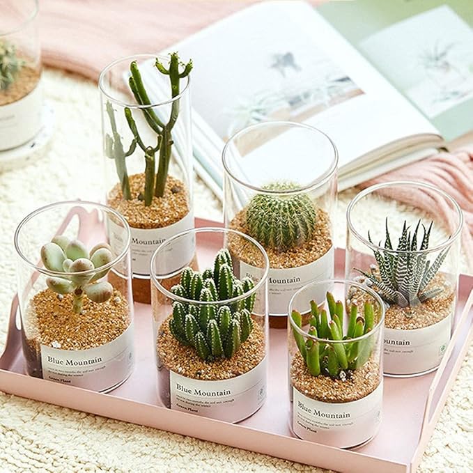 18lb Cactus Pea Gravel Rocks,1/5 Inch Pebbles for Indoor Plants, Natural Succulent Rock and River Rocks Decorative for Aquariums, Vases, Terrarium, Outdoor Gardening, Top Dressing for Potted Plants-PawvioPets