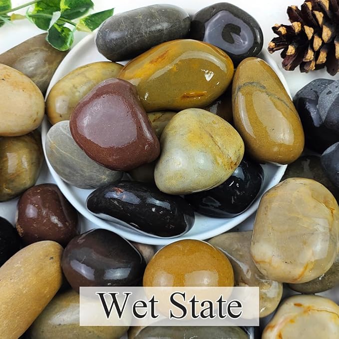 40lbs Natural River Rocks, 2-3" Premium Pebbles for Garden and Landscape Design, Hand-Picked Smooth Stones for Fish Tank, Flower Pots, Indoor Water Fountains, Pathways, Backyard-PawvioPets