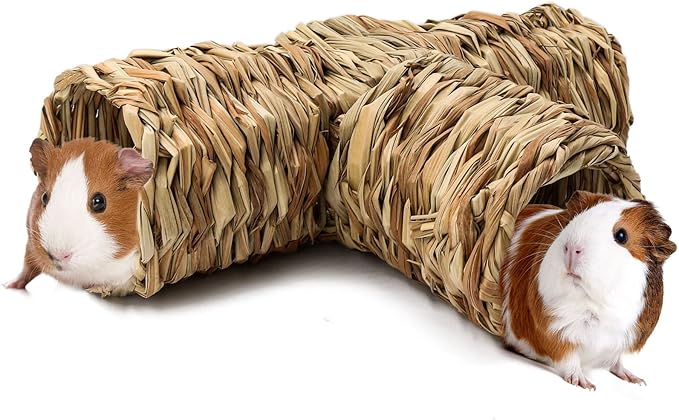 BWOGUE Hamster Grass Tunnel Toy Nature's Hideaway Guinea Pig Tunnels and Tubes Toys for Rats,Syrian Hamster,Ferrets,Guinea Pig,Chinchilla Hedgehog and Bunny-PawvioPets