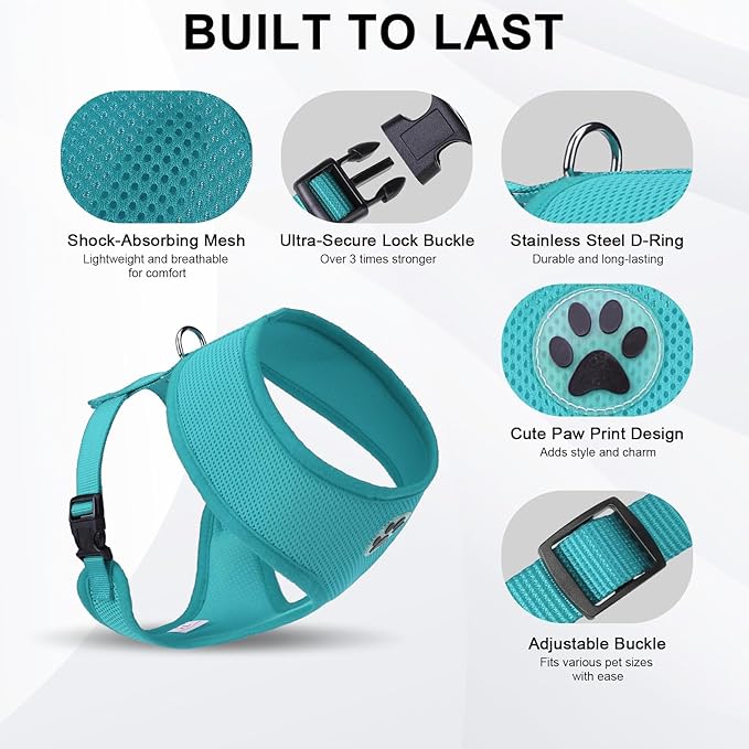 BINGPET No Pull Dog Harness,All Weather Mesh Step-in Vest Harness for Small Dogs,Breathable Mesh Puppy & Cat Harness-PawvioPets