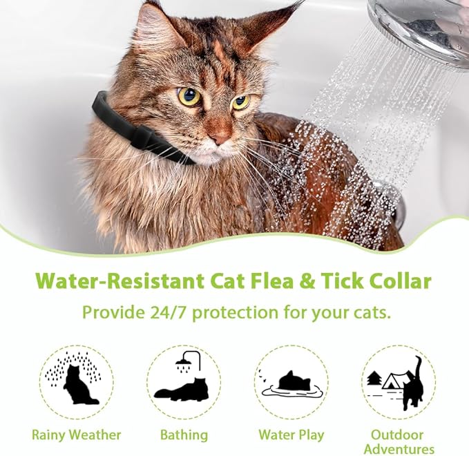 4 Pack Flea and Tick Collar for Cats, Natural Plant Oil Formula Cat Flea Collar Provides 32-Month Protection for Flea Tick Prevention, Waterproof & Adjustable Cat Flea Treatment for Most Cats-PawvioPets