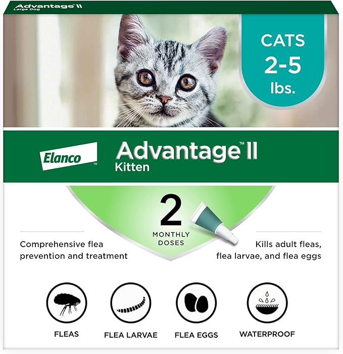 Advantage II Kitten Vet-Recommended Flea Treatment & Prevention | Cats 2-5 lbs. | 2-Month Supply-PawvioPets